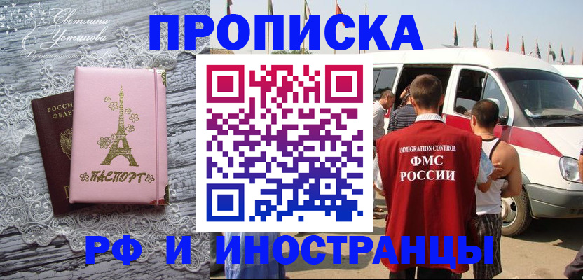 прописка поиск в Невеле